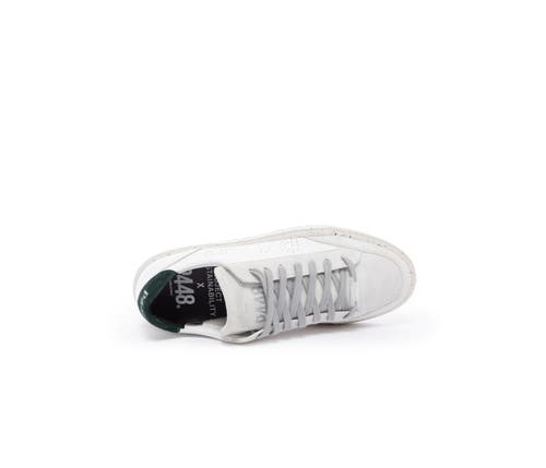 P448 Soho Sneaker In White