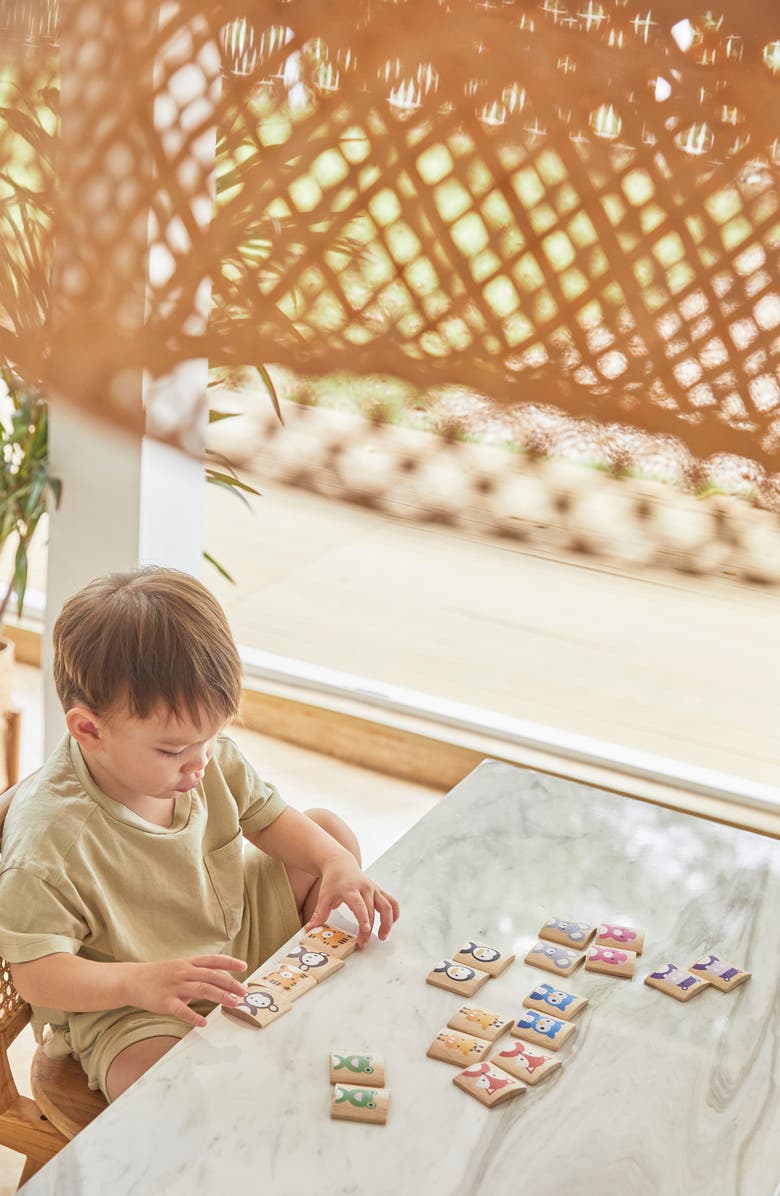 PlanToys<sup>®</sup> Animals Matching Game, Alternate, color, Assorted