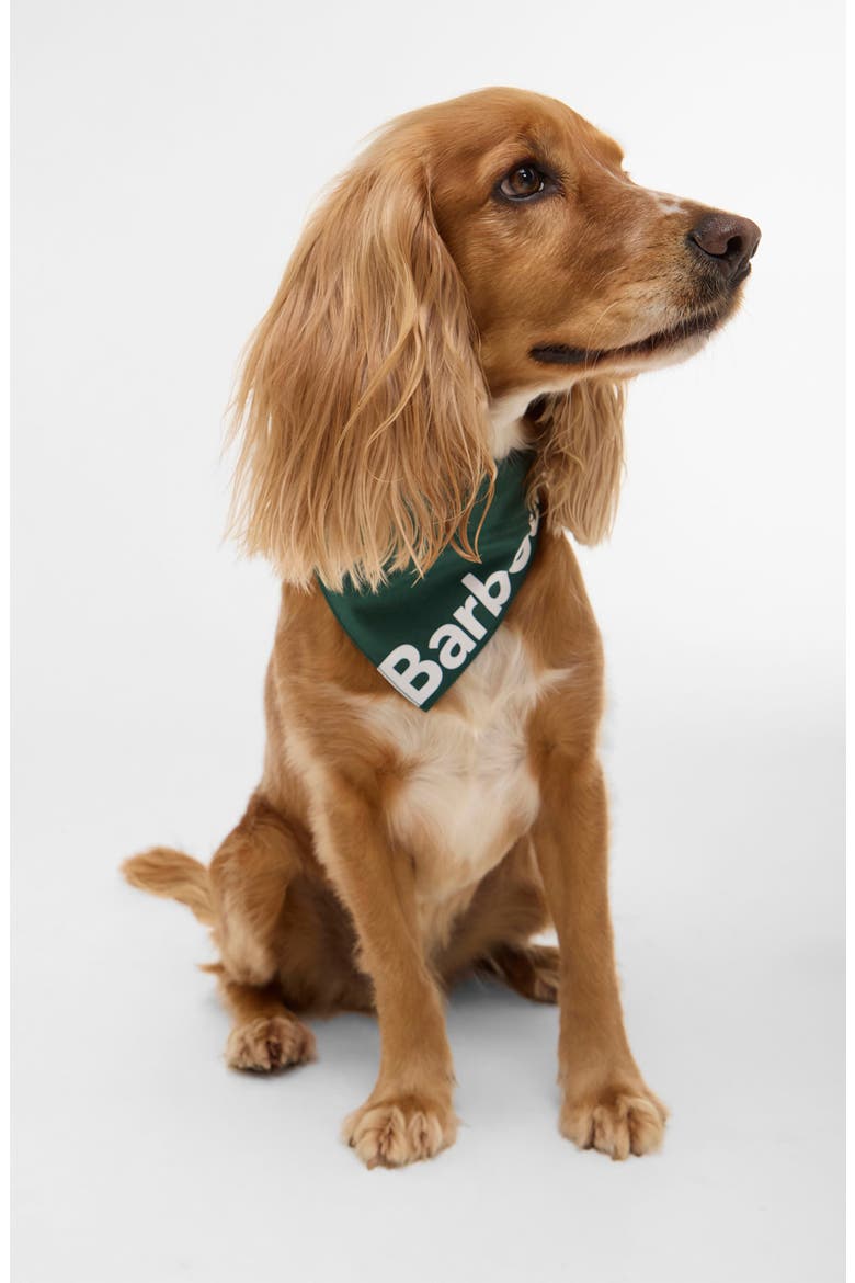 Logo Cotton Dog Bandana, Alternate, color, GREEN