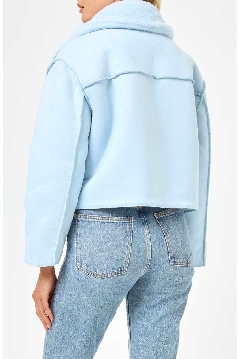 Kalina Reversible Faux Fur Jacket, Alternate, color, ICE BLUE