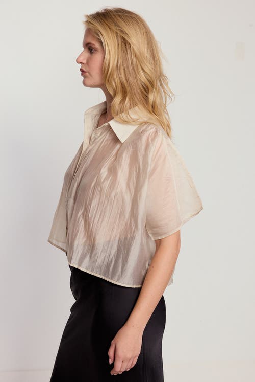The Shirt By Rochelle Behrens The Hayden Shirt In White