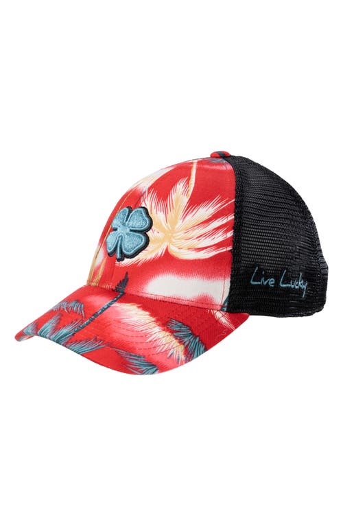 Black Clover Island Luck 23 Snapback Cap In Red
