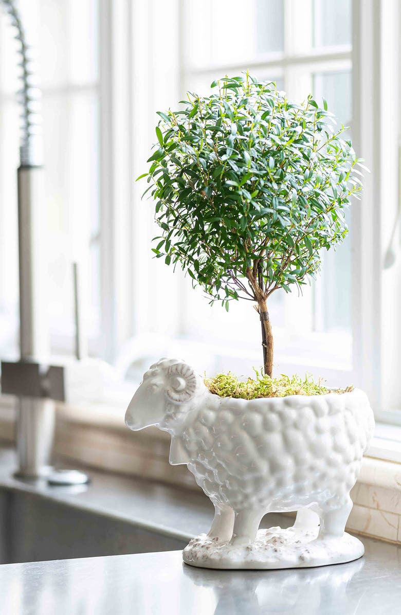 Juliska Renoir Ram Ceramic Serving Bowl, Alternate, color, Whitewash