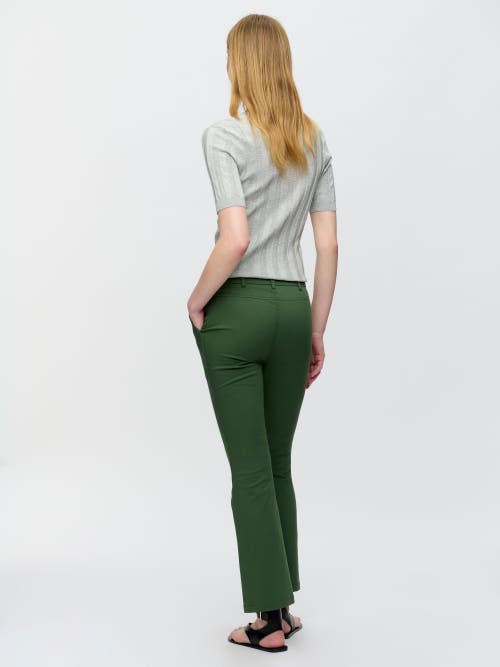 Callas Milano Mila Cropped Pant In Green