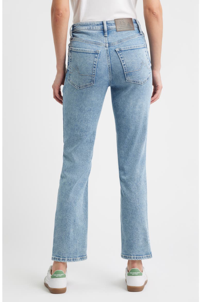 Dover Straight Leg Jeans, Alternate, color, VINTAGE TAGGED WHISKER