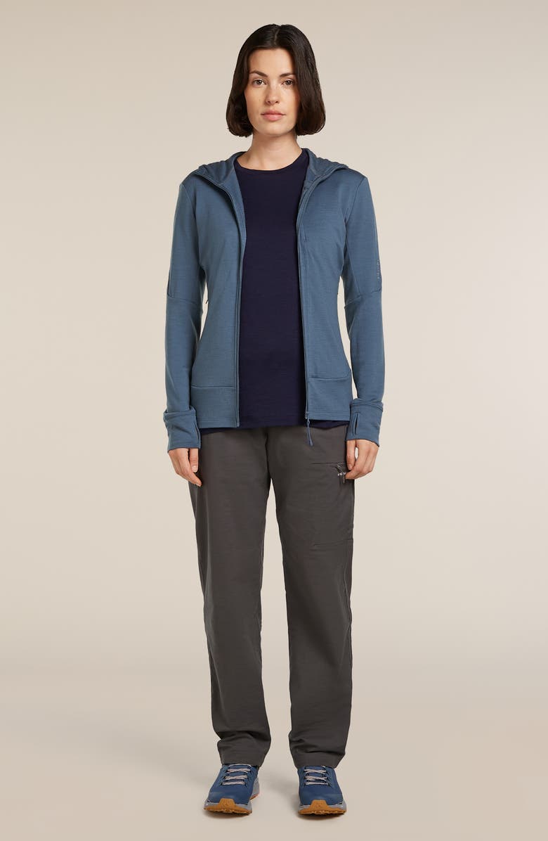 Icebreaker 260 Quantum Merino Wool Hooded Jacket, Alternate, color, Dawn