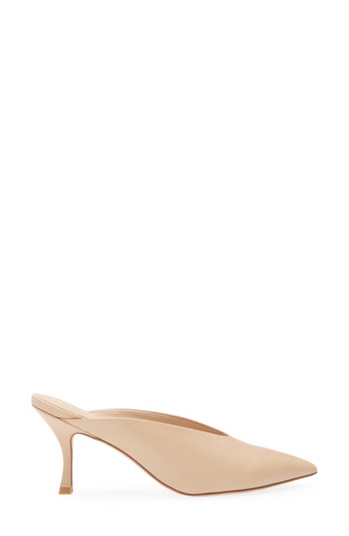 Stuart Weitzman Lula Pointed Toe Pump In Golden Beige