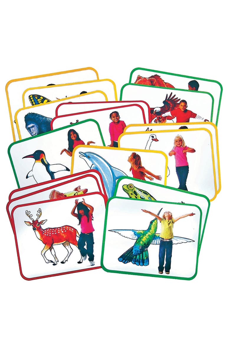 Body Poetry Animal Action Cards, Main, color, Multicolor