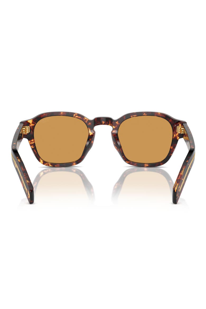 49mm Round Phantos Sunglasses, Alternate, color, TORTOISE