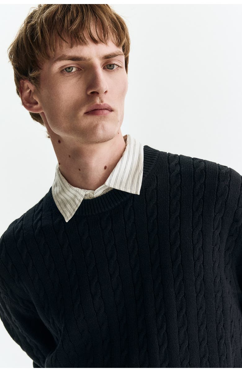 H&M Regular Fit Cable-knit Jumper, Alternate, color, Navy Blue