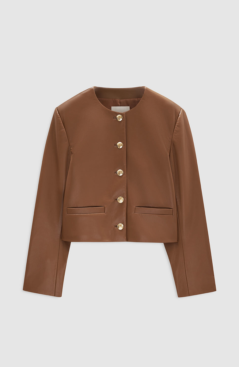 ANINE BING Amber Recycled Leather Jacket, Alternate, color, 