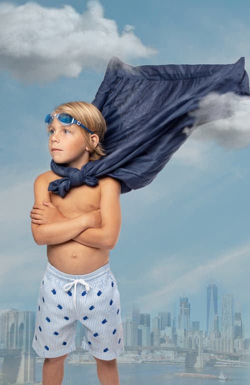 Nessi Byrd Pineapple Embroidery Striped Drawstring Swim Trunks, Toddler, Little Kid & Big Kid In Blue