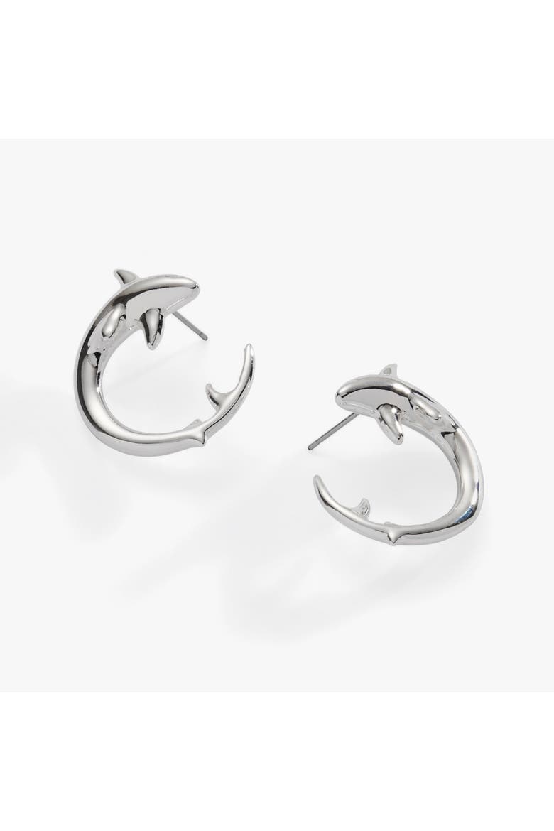 Shark Hoop Earring, Main, color, Silver