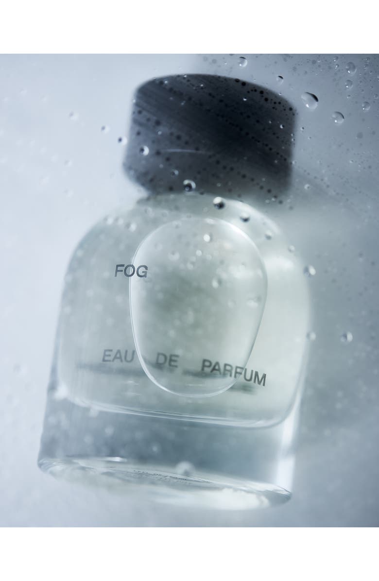 HENRY ROSE Fog Eau de Parfum, Alternate, color, 