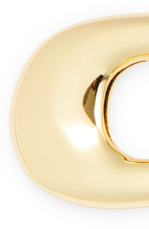 Lie Studio Lié Studio The Frida Hair Pin In Gold