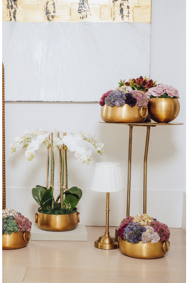 Beatrix Gold Sedum Arrangement, Alternate, color, Multi-Color