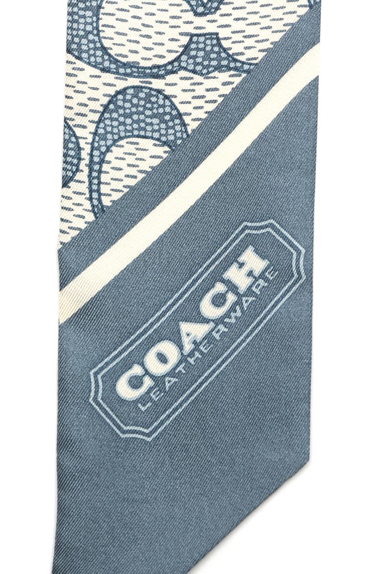 Textured Signature Print Silk Skinny Scarf, Alternate, color, LIGHT DENIM