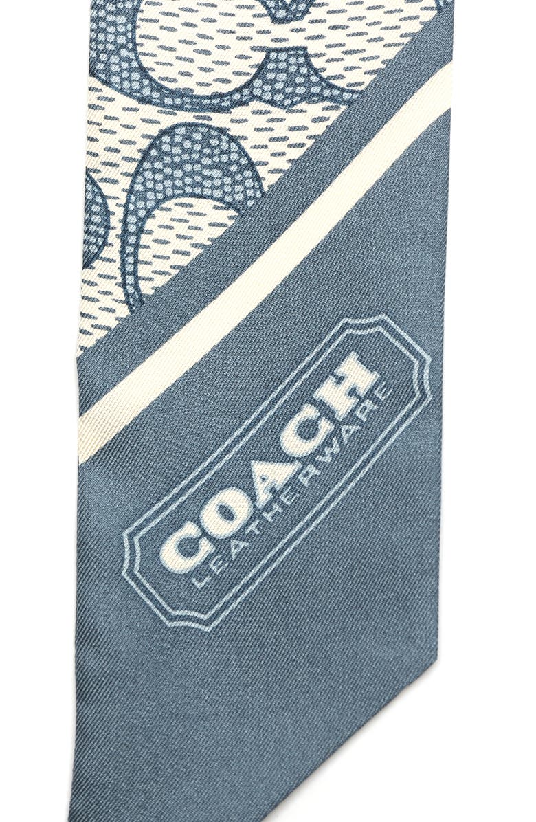COACH Textured Signature Print Silk Skinny Scarf, Alternate, color, Light Denim