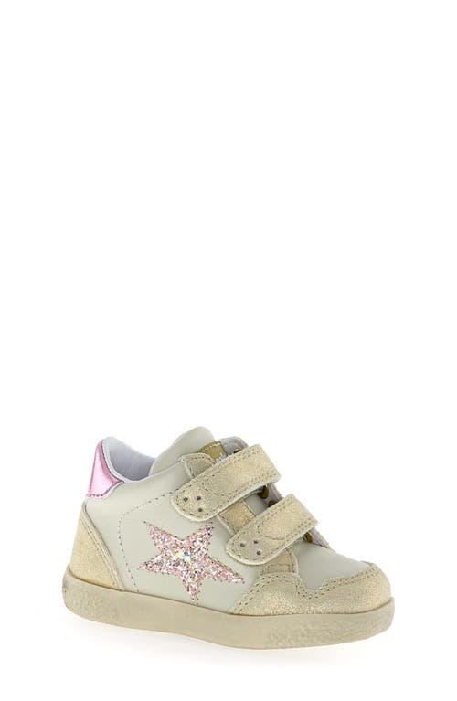 Naturino Kids' Falcotto Alnoite High Top Sneaker in Platinum-Milk-Cipria 