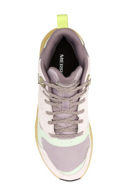 Merrell Tempo Sol Mid Top Hiking Boot In Lilac Mist