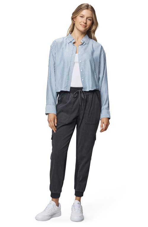 Splendid Nora Stripe Crop Button-up Shirt In Blue