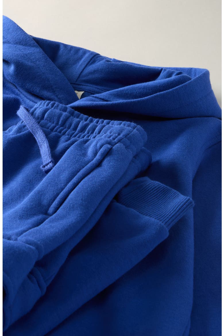 Kids' Fleece Hoodie & Cargo Joggers Set, Alternate, color, BLUE BEAUCOUP