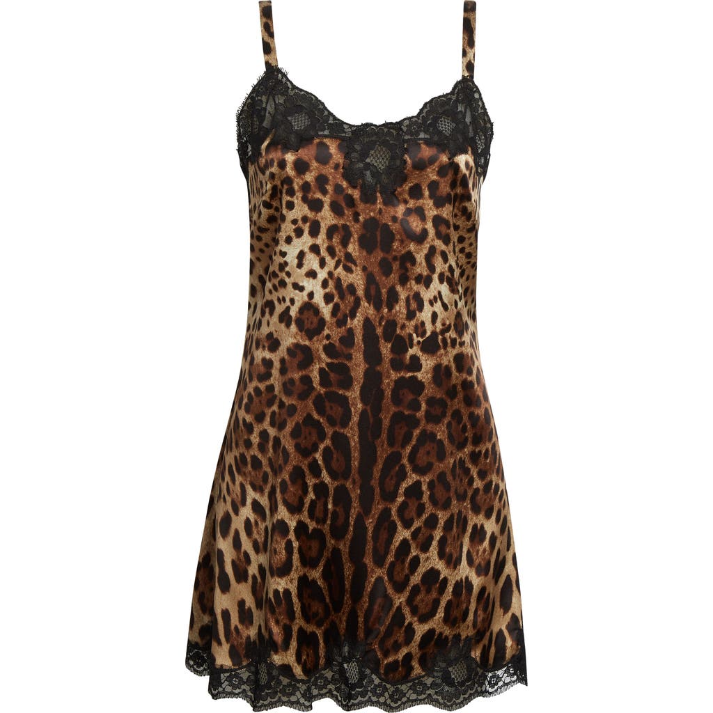 Dolce & Gabbana Dolce&gabbana Leopard Print Stretch Satin & Lace Slipdress In Animal Print