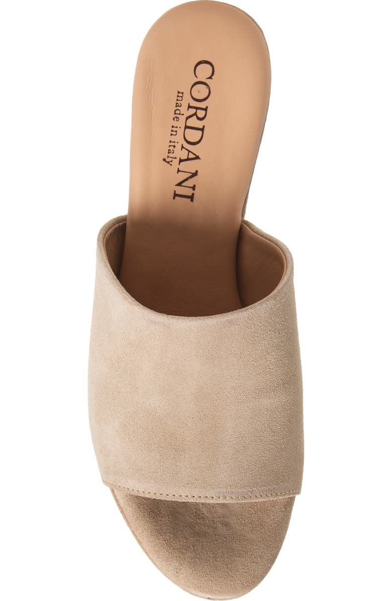 Cordani Vonnie Slide Sandal, Alternate, color, Visone