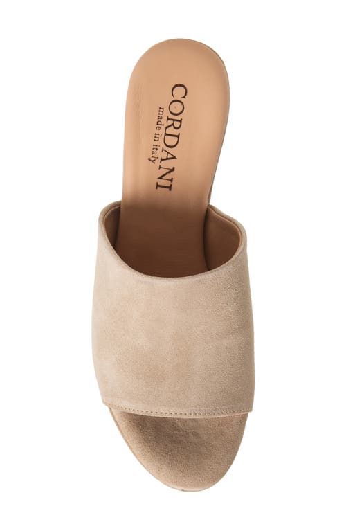 Cordani Vonnie Slide Sandal In Visone