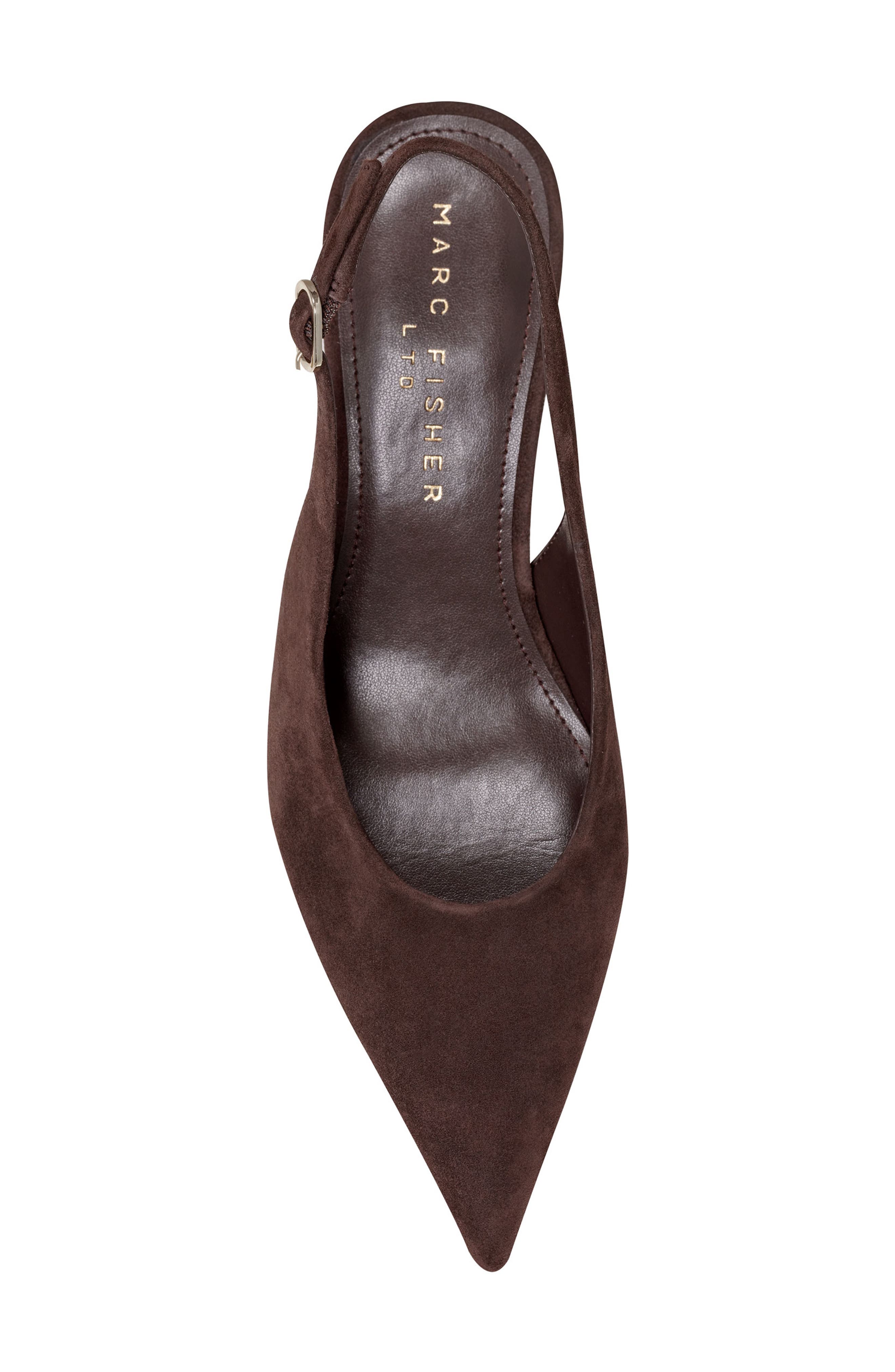 Reynna Pointed Toe Slingback Pump, Alternate, color, DBR01