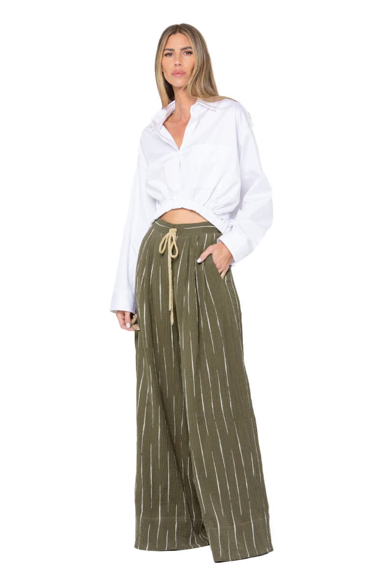 JBQ Briggs Pant 2.0, Alternate, color,
