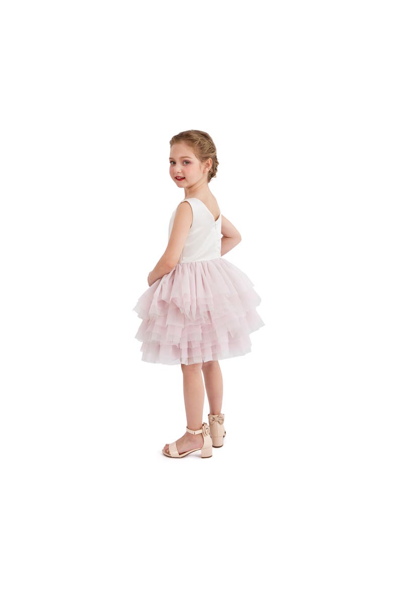 Selene Tulle Dress, Alternate, color, Pink