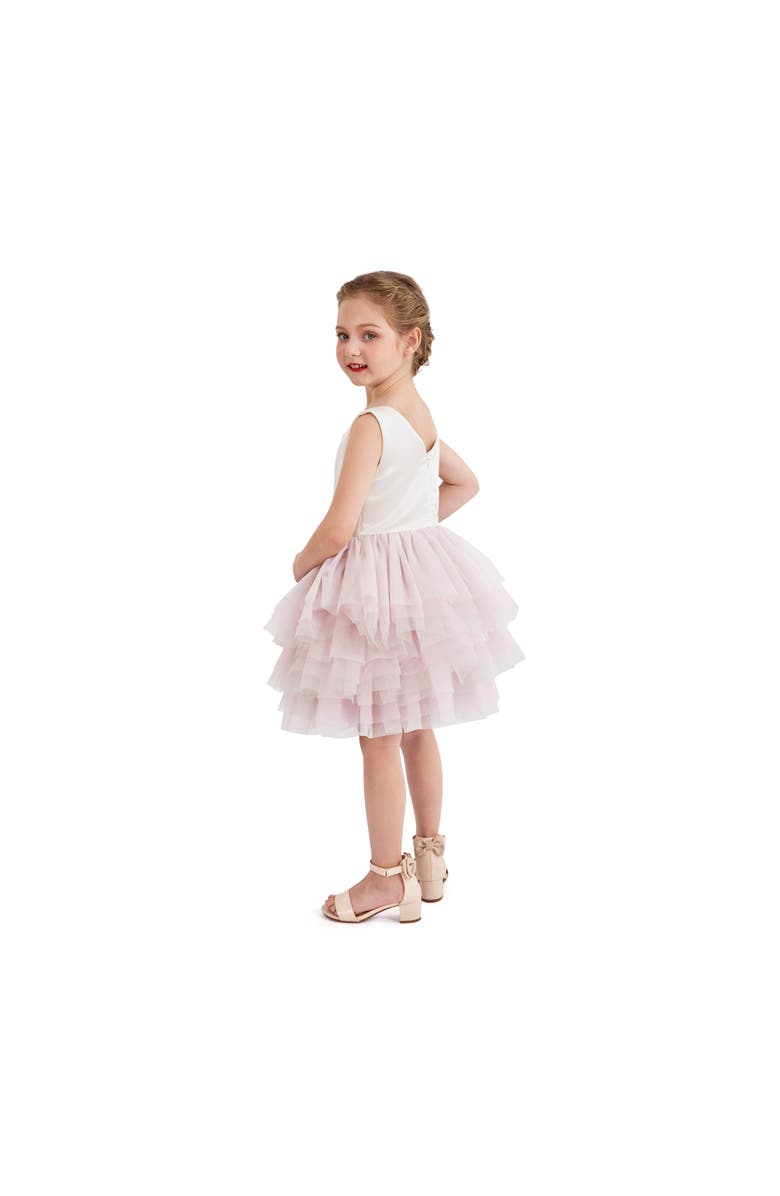 Tulleen Selene Tulle Dress, Alternate, color, Pink