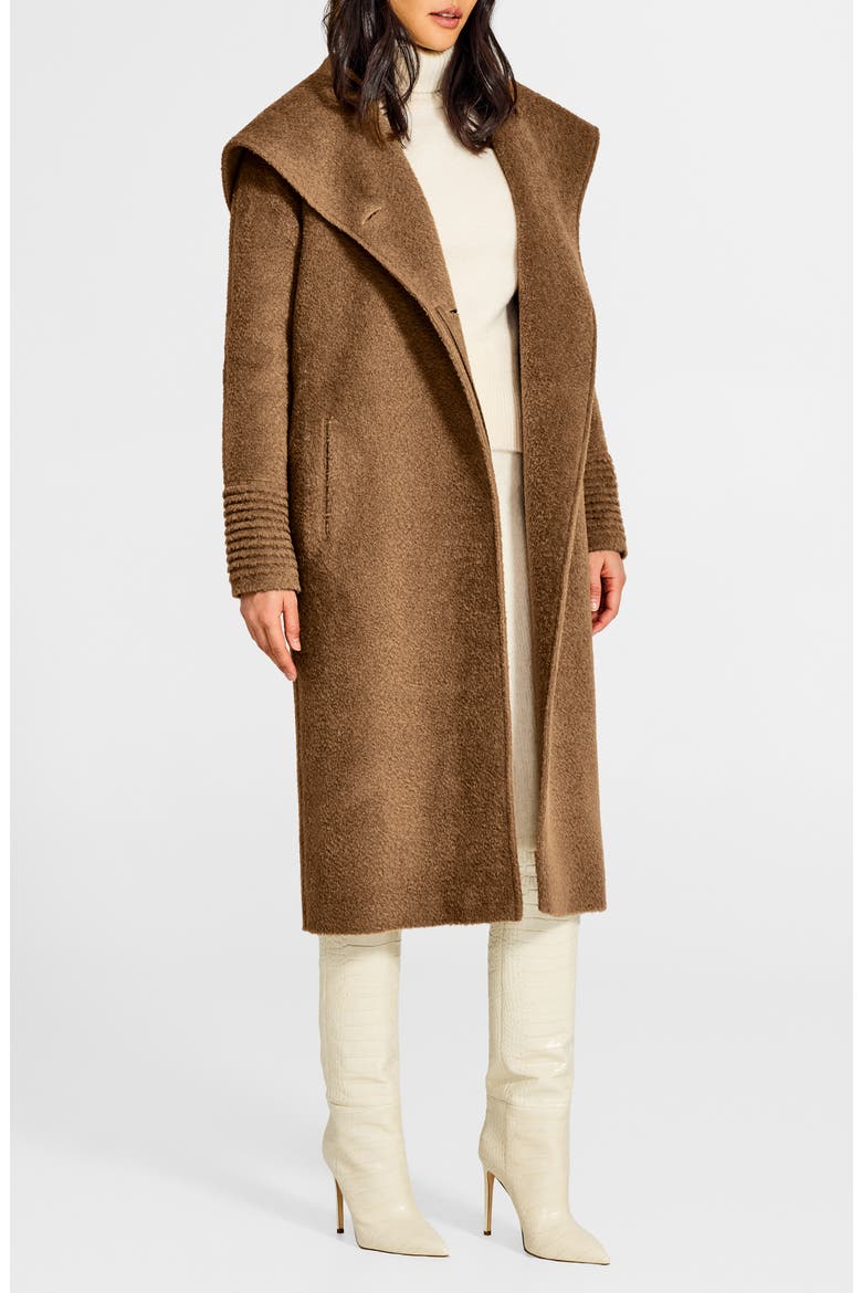 Hooded Wool & Alpaca Blend Coat, Alternate, color, DARK CAMEL