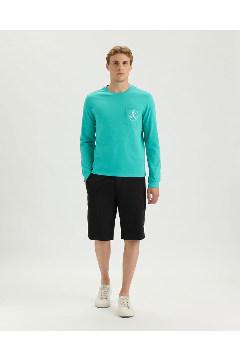 Skull and Poles Long Sleeve Tee, Alternate, color, OCEAN SPRAY