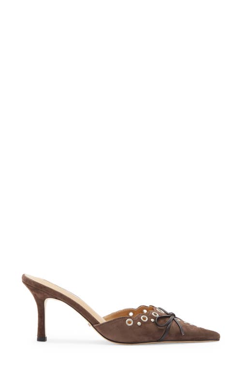 Tony Bianco Shae Pointed Toe Mule In Brown