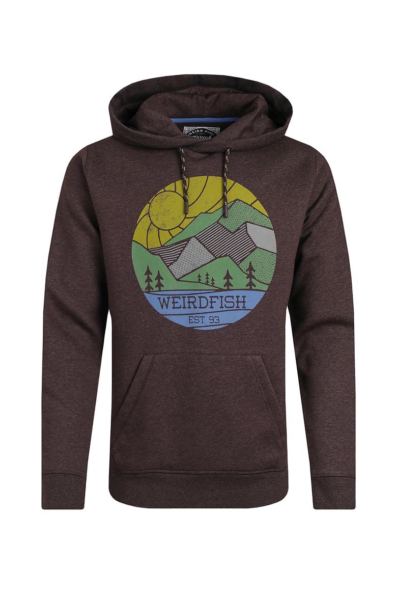 Bryant Graphic Popover Hoodie, Alternate, color, Mulled Wine
