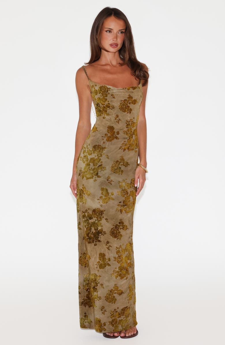 Tiger Mist Sparrow Floral Velvet Burnout Maxi Dress, Alternate, color, Green Burnout