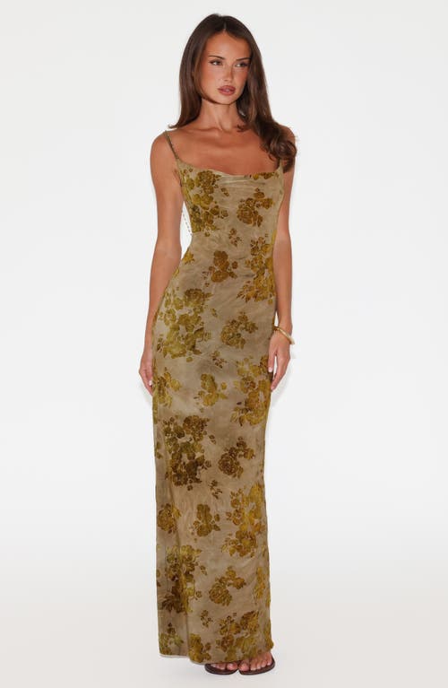 Tiger Mist Sparrow Floral Velvet Burnout Maxi Dress In Brown