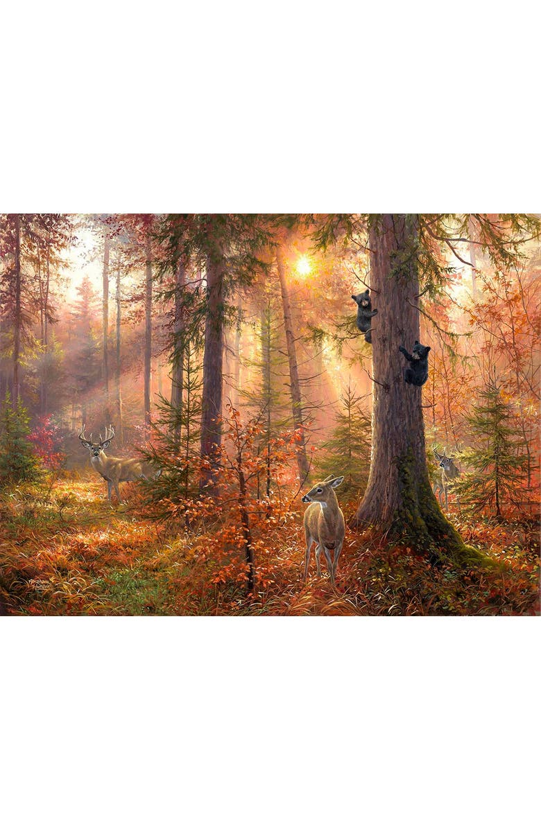 Sunsout Forest Light 300 piece Jigsaw Puzzle for Adults, Alternate, color, Multicolor