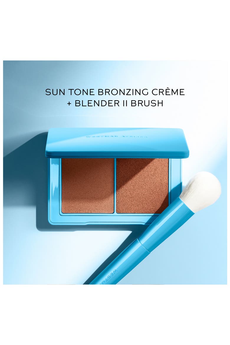 Blender II Brush, Alternate, color, BLUE