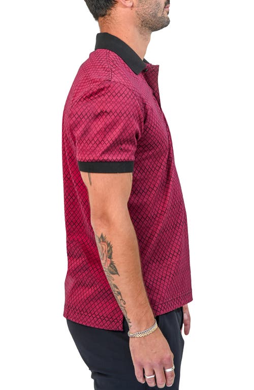 Maceoo Mozart Scale Polo In Red