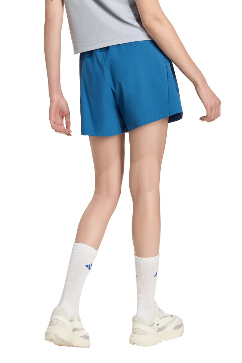 Z.N.E. Woven Stretch Nylon Shorts, Alternate, color, DUSKY PETROL/