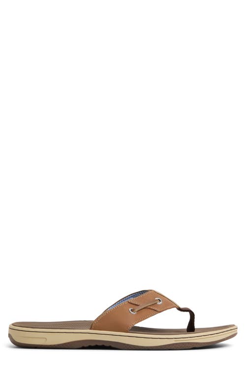 Sperry Baitfish Flip Flop In Tan Suede