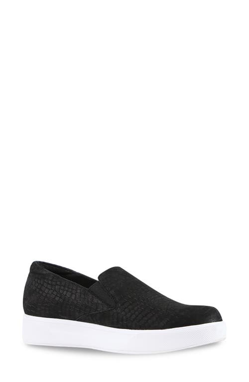 Munro Lennox Slip-On Sneaker in Black Croc Nubuck 