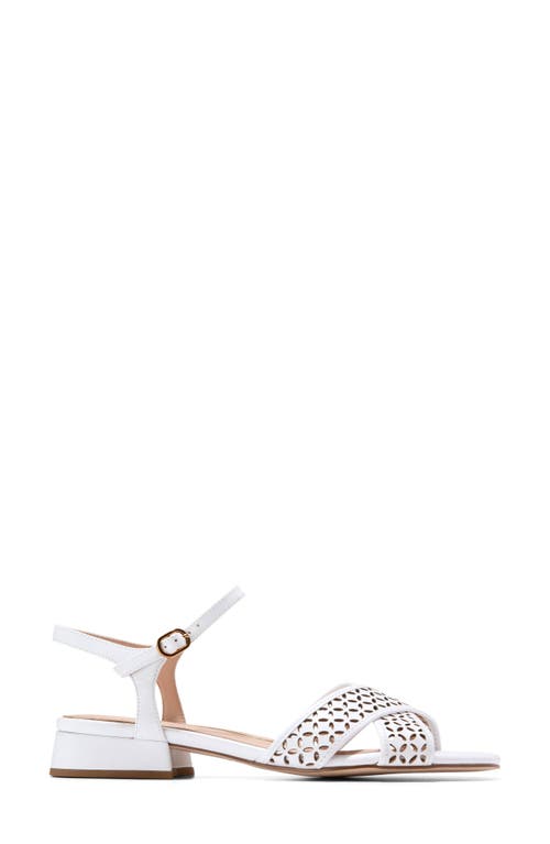 Cole Haan Patie Sandal In White Perforated Leather