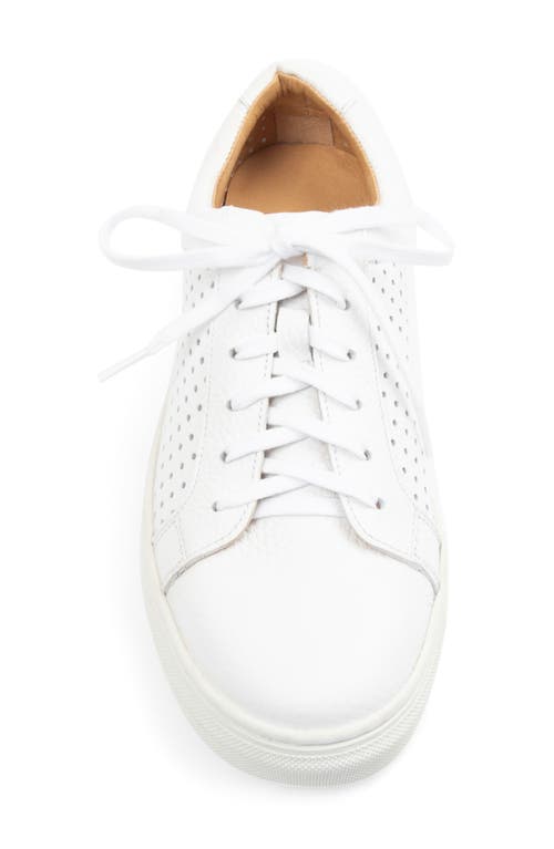 Patricia Green Ryan Peforated Sneaker In White