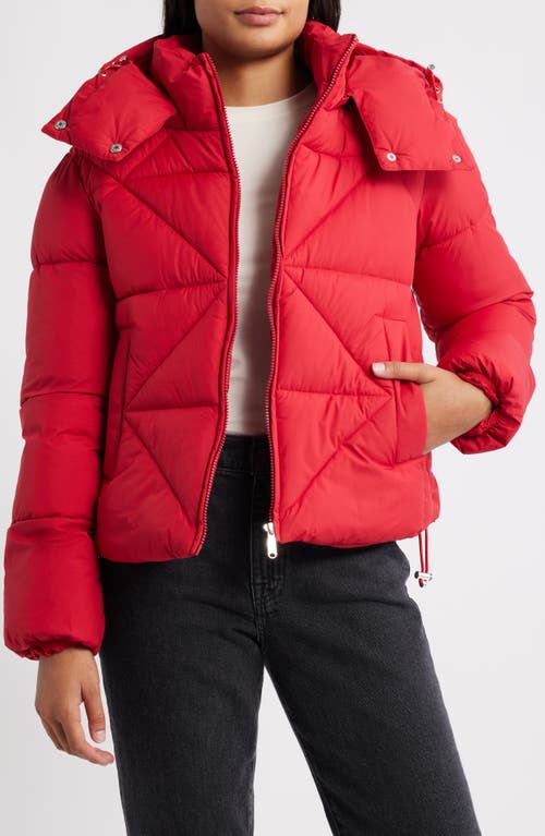 Sam Edelman Cropped Puffer Jacket In Red