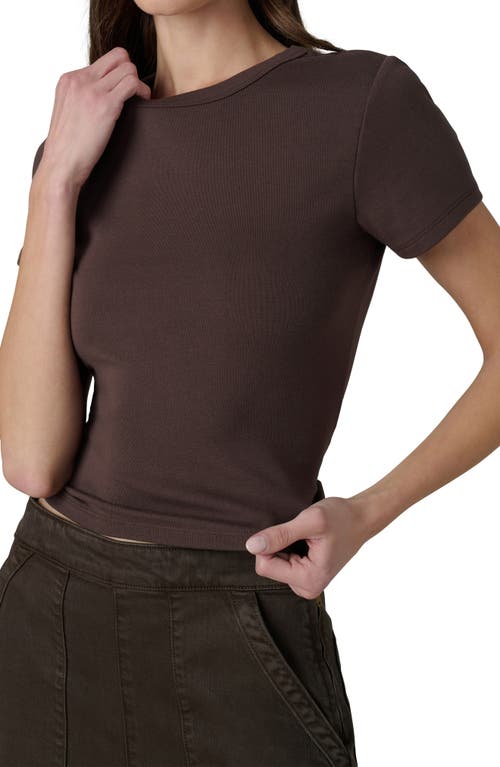 Joe's The Baby Tee In Brown