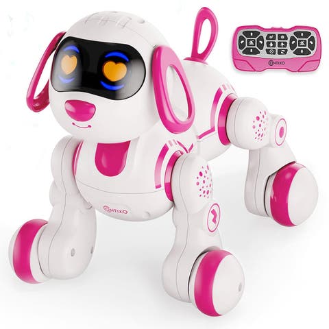 Pet Dog Robot